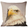Front - Riva Home Animal Eagle Cushion Cover
