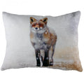 Front - Evans Lichfield Fox Winter Cushion Cover
