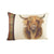 Front - Evans Lichfield Hunter Highland Cow Cushion Cover