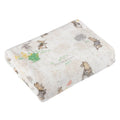 Front - Peter Rabbit Childrens/Kids Fleece Printed Blanket