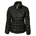 Front - Nimbus Womens/Ladies Sierra Padded Water Resistant Down Jacket