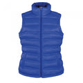 Front - Result Urban Outdoor Womens/Ladies Ice Bird Padded Gilet