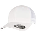 Front - Flexfit Unisex Adult 110 Mesh Trucker Cap