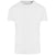 Front - Awdis Mens Ecologie Ambaro Recycled T-Shirt