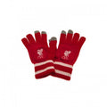 Front - Liverpool FC Unisex Adult Knitted Gloves