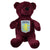 Front - Aston Villa FC Solid Teddy Bear