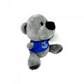 Front - Everton FC Timmy Teddy Bear