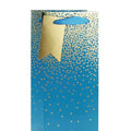 Teal - Back - Eurowrap Ombre Bottle Bag (Pack of 6)