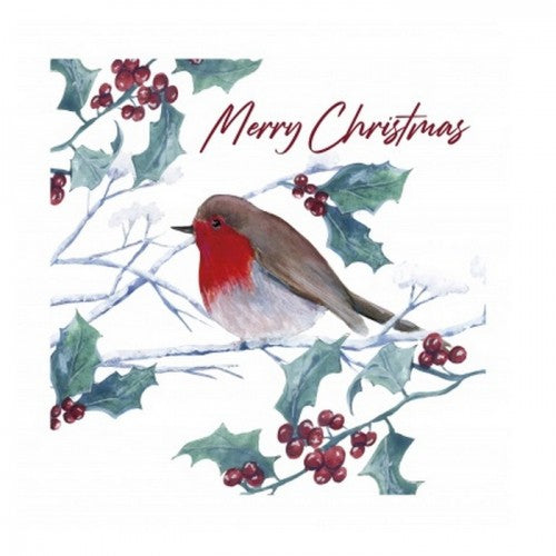 Green-Red-Brown - Front - Eurowrap Kraft Robin Christmas Card (Pack of 12)