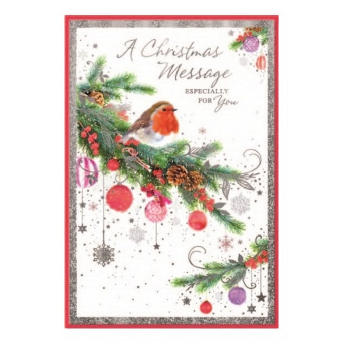 Multicoloured - Front - Simon Elvin A Christmas Message Especially For You Robin Greetings Card (Pack of 6)