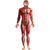 Front - Smiffys Mens Anatomy Man Costume