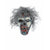 Front - Smiffys Unisex Adult Decaying Zombie Mask