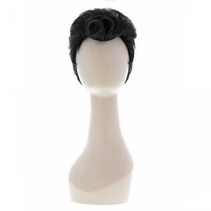 Front - Grease Mens Danny Zuko Wig