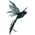 Front - Premier Sequin Hummingbird Christmas Decoration