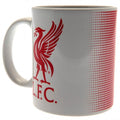Front - Liverpool FC Mug
