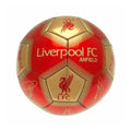 Front - Liverpool FC Signature Skill Ball