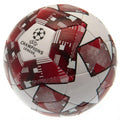 Front - UEFA Champions League Star Football