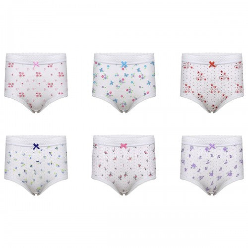 Front - Harte & Soul Womens/Ladies Floral Briefs (Pack of 6)