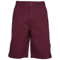 Front - Trespass Mens Leominster Shorts