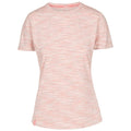 Front - Trespass Womens/Ladies Hokku Striped T-Shirt