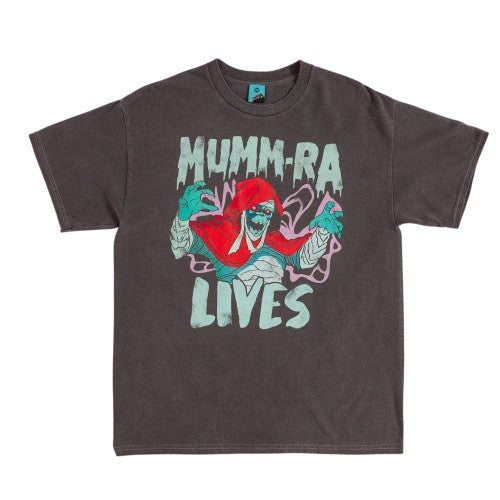 Front - Thundercats Unisex Adult Mumm-Ra Lives Vintage Wash T-Shirt