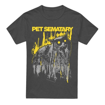 Front - Pet Sematary Unisex Adult Decay T-Shirt