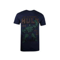 Front - Hulk Mens Rage T-Shirt