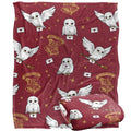 Front - Harry Potter Letter Hedwig Blanket