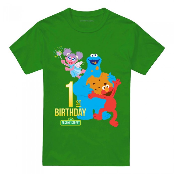 Front - Sesame Street Unisex Adult 1st Birthday T-Shirt