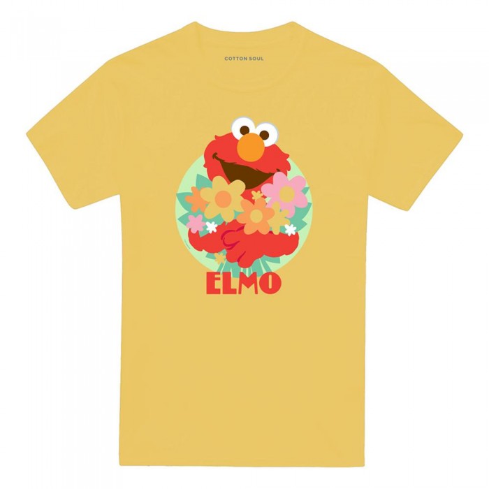 Front - Sesame Street Unisex Adult Flowers For You T-Shirt
