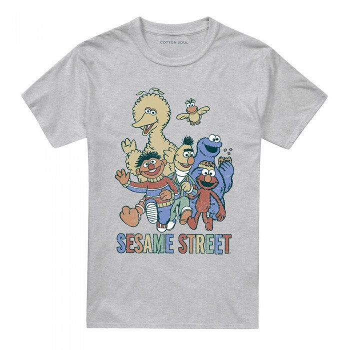Front - Sesame Street Unisex Adult Group Heather T-Shirt