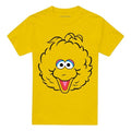 Front - Sesame Street Unisex Adult Big Bird Full Face T-Shirt
