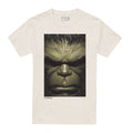 Front - Hulk Mens Face T-Shirt