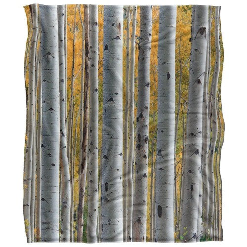 Front - JQ Licensing James Piazza Silky Birch Trees Supersoft Blanket