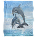 Front - Royce McClure Silky Dolphin Jumpers Supersoft Blanket