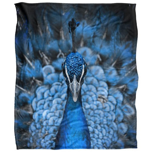 Front - Reinders Silky Peacock Supersoft Blanket