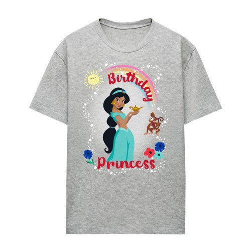 Front - Aladdin Womens/Ladies Birthday Princess Jasmine Abu Heather T-Shirt