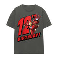 Front - Iron Man Womens/Ladies 12th Birthday T-Shirt