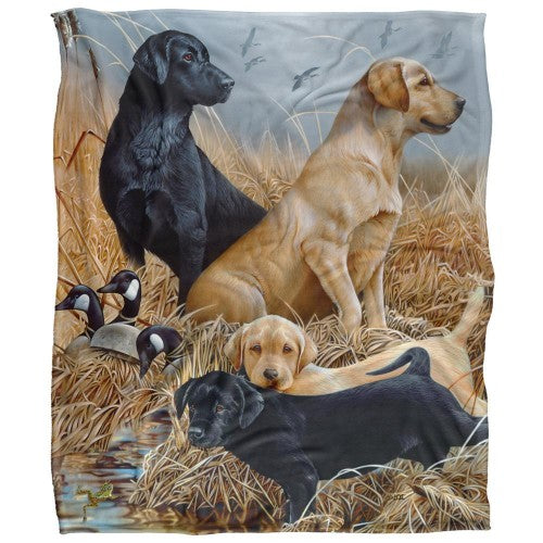 Front - JQ Licensing Jg-Jp Silky Labrador Hunting Supersoft Blanket