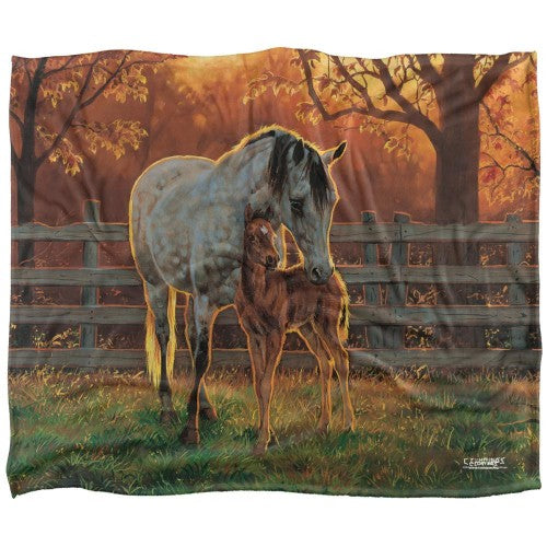 Front - Wild Wings Silky Mother And Child Supersoft Blanket