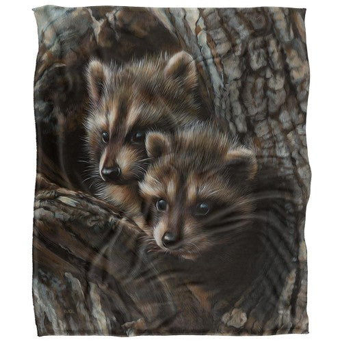 Front - JQ Licensing Silky Raccoon Supersoft Blanket
