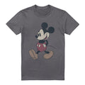 Front - Mickey Mouse & Friends Mens Wander T-Shirt