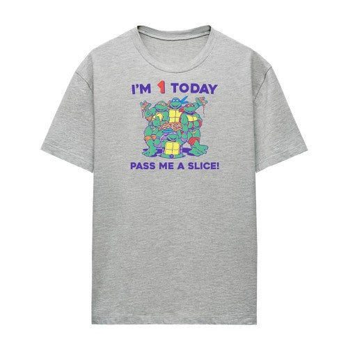 Front - Teenage Mutant Ninja Turtles Womens/Ladies Pizza Heather Birthday T-Shirt