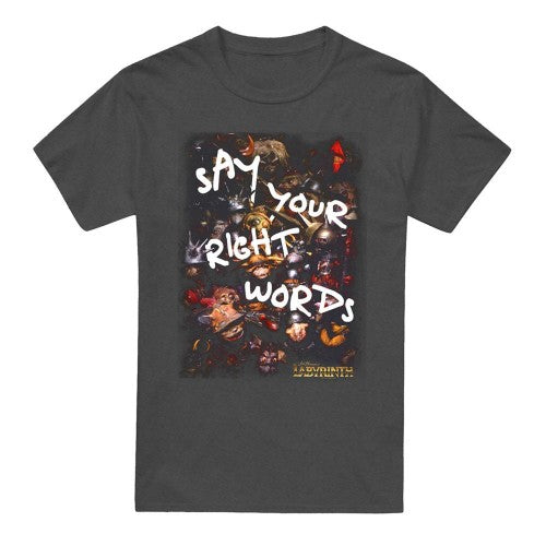 Front - Labyrinth Unisex Adult Right Words Heather T-Shirt