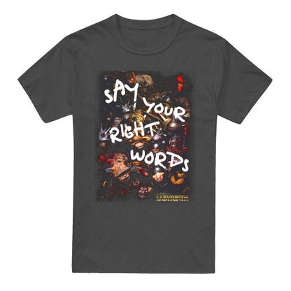 Front - Labyrinth Unisex Adult Right Words Heather T-Shirt