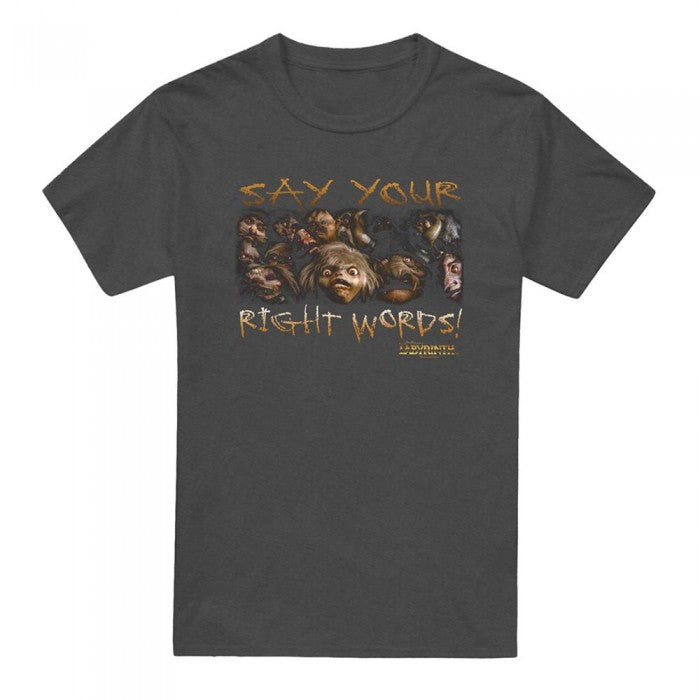 Front - Labyrinth Unisex Adult Say Your Right Words Heather T-Shirt