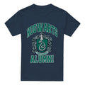 Front - Harry Potter Mens Slytherin Alumni T-Shirt