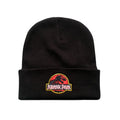 Front - Jurassic Park Mens Logo Beanie