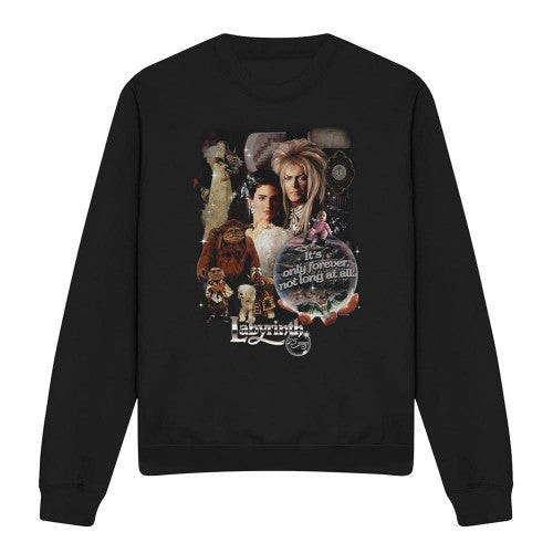 Front - Labyrinth Unisex Adult 25 Years Of Magic Sweatshirt