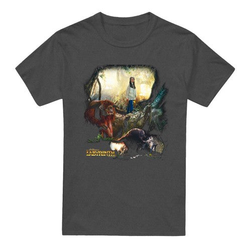 Front - Labyrinth Unisex Adult Sarah & Ludo Heather T-Shirt